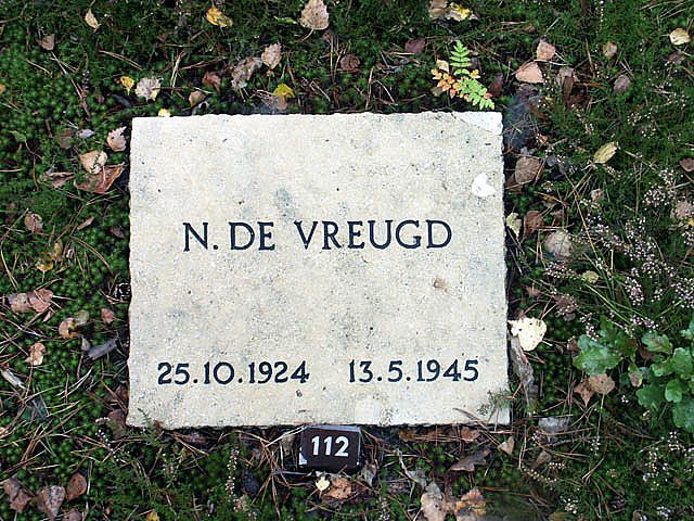Afbeelding van graf of monument van Nicolaas de Vreugd