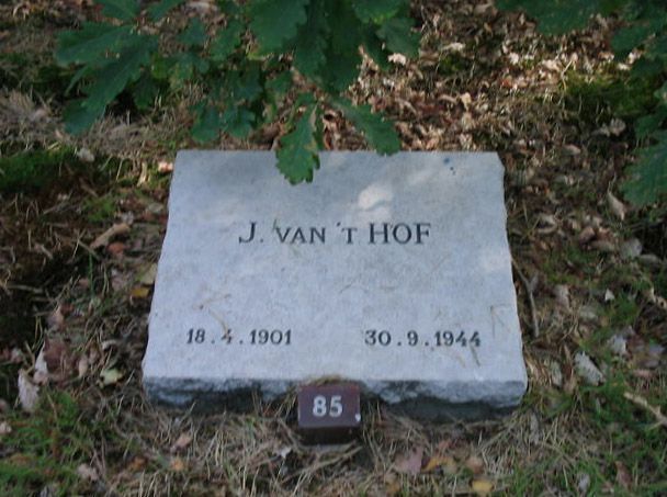 Afbeelding van graf of monument van Johannes van 't Hof