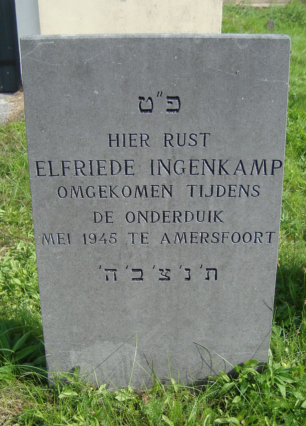 Afbeelding van graf of monument van Elfriede Ingenkamp