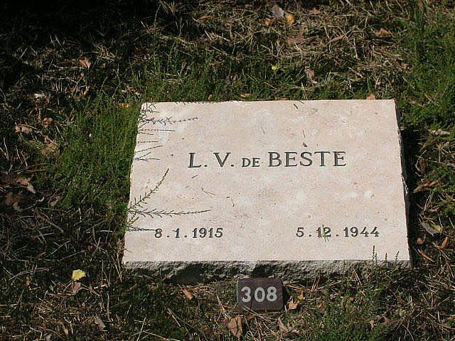 Afbeelding van graf of monument van Leon Victor de Beste