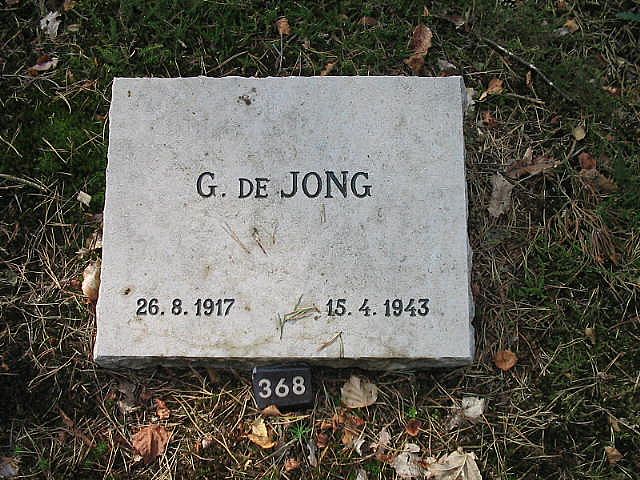 Afbeelding van graf of monument van Gerrit de Jong
