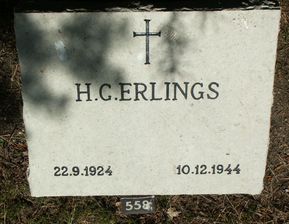 Afbeelding van graf of monument van Hendrik Cornelis Erlings