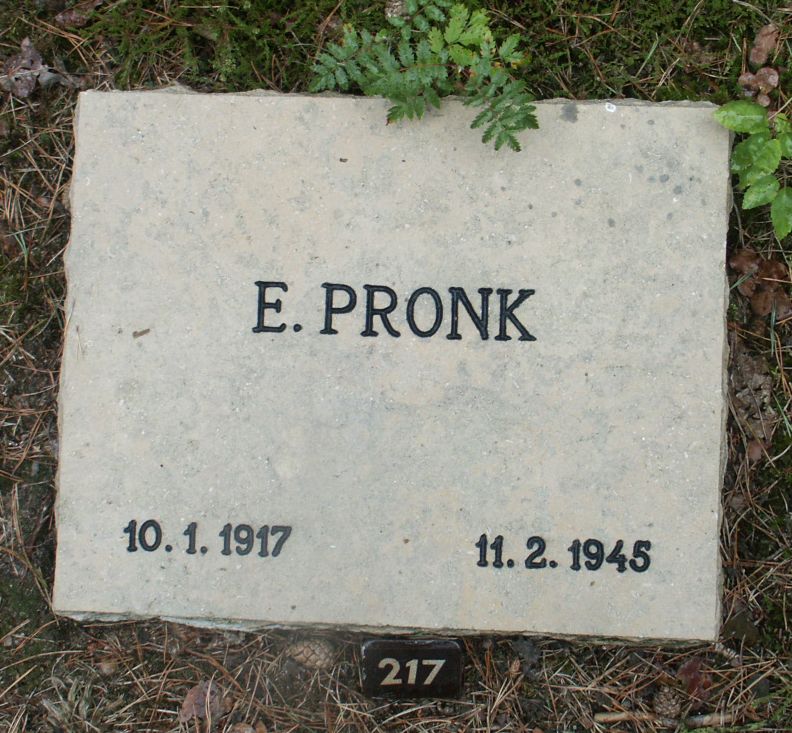 Afbeelding van graf of monument van Epko Pronk