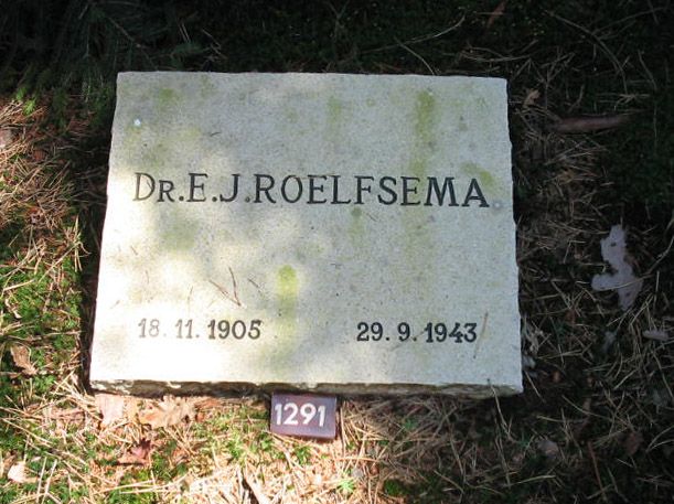 Afbeelding van graf of monument van Engbertus Johannes Roelfsema