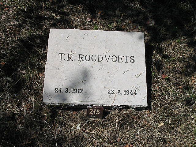 Afbeelding van graf of monument van Theo Roelof Roodvoets