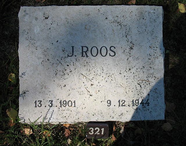 Afbeelding van graf of monument van Jakobus Roos