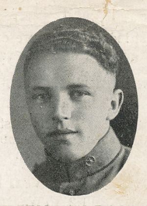 W.G.J. van Doorn