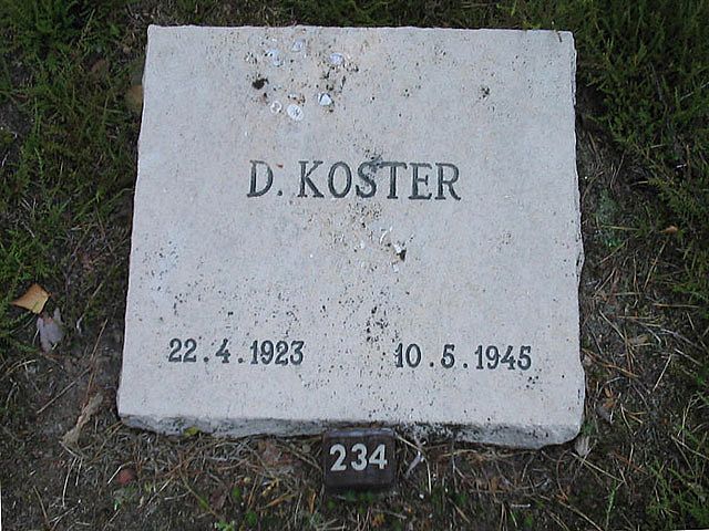 Afbeelding van graf of monument van Douwe Koster