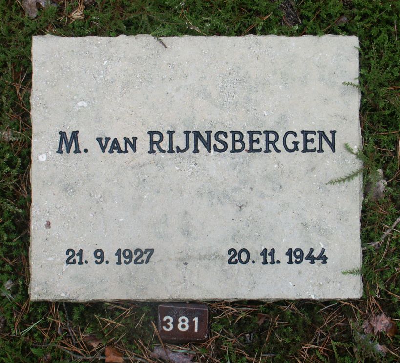 Afbeelding van graf of monument van Marius van Rijnsbergen