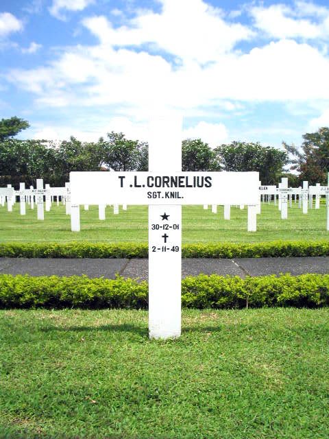 Afbeelding van graf of monument van Theodorus Leonardus Cornelius