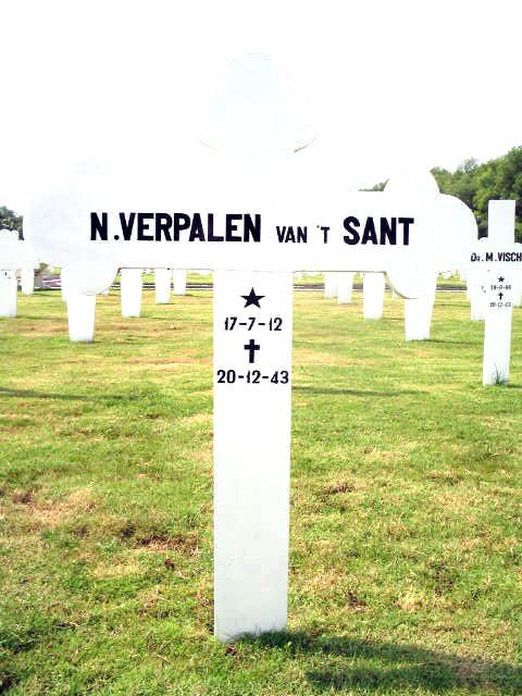 Afbeelding van graf of monument van Neline Verpalen-van 't Sant