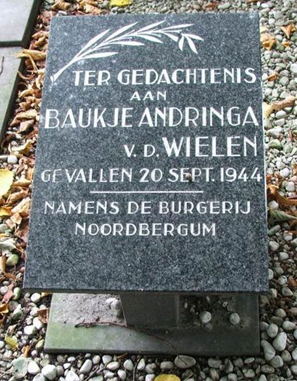 Andringa.JPG