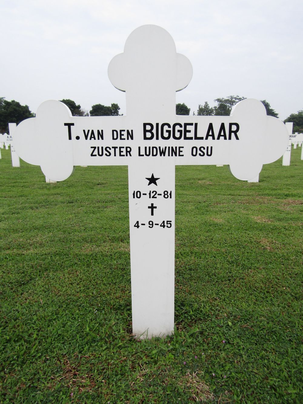 Graffoto T. van den Biggelaar