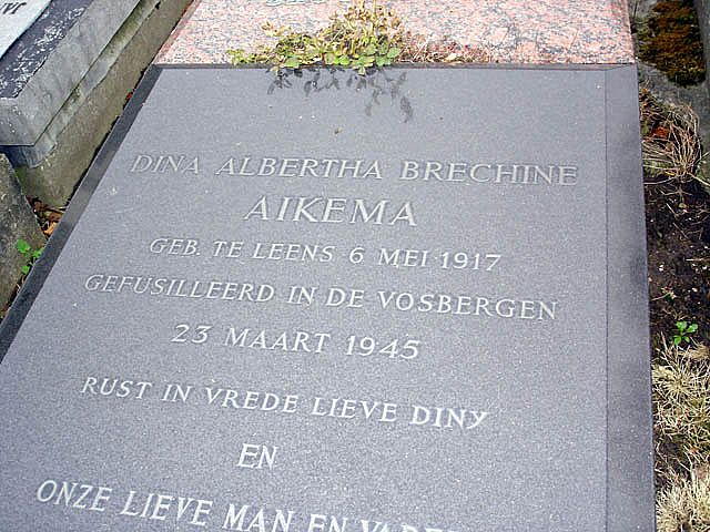 Afbeelding van graf of monument van Dina Alberta Brechine Aikema