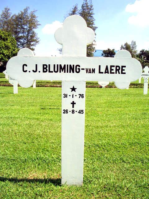 Afbeelding van graf of monument van Catharina Johanna Bluming-van Laere