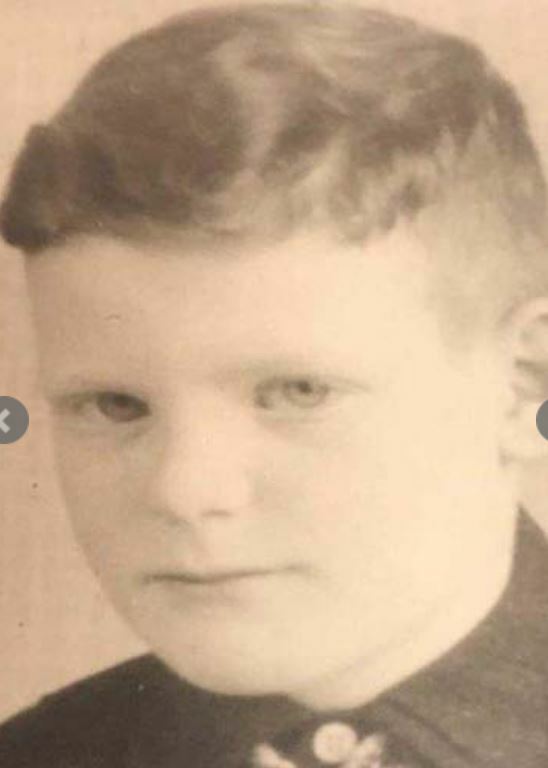 Just David Hollander