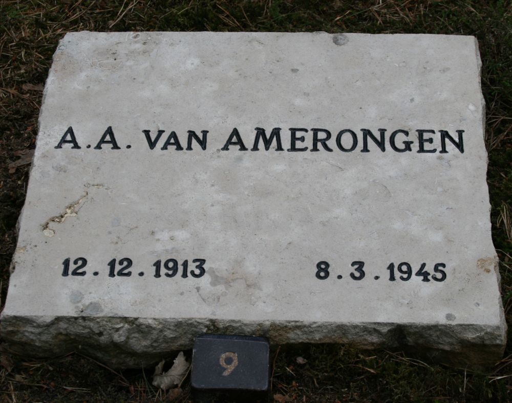 Afbeelding van graf of monument van Albertus Antonius van Amerongen
