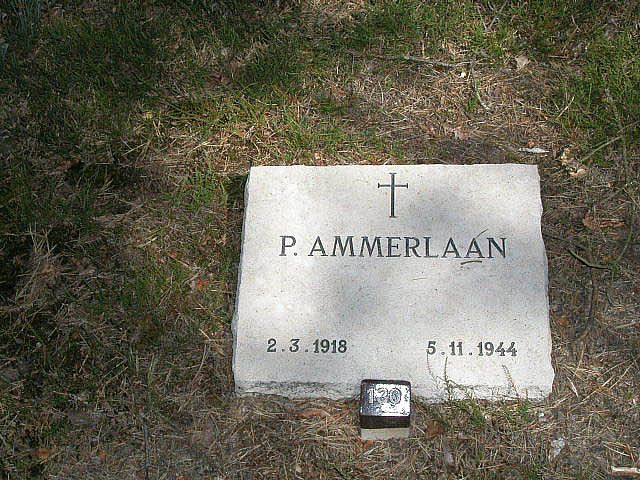 Afbeelding van graf of monument van Petrus Ammerlaan
