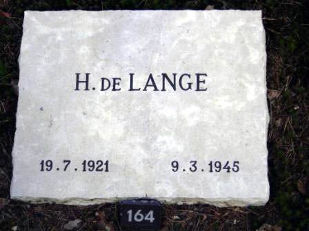 Afbeelding van graf of monument van Hendrik de Lange