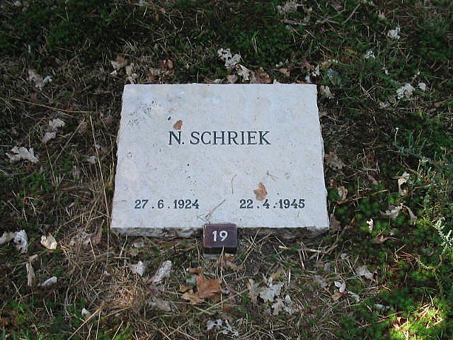 137835.JPG