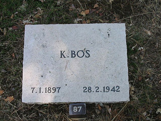 Afbeelding van graf of monument van Klaas Bos