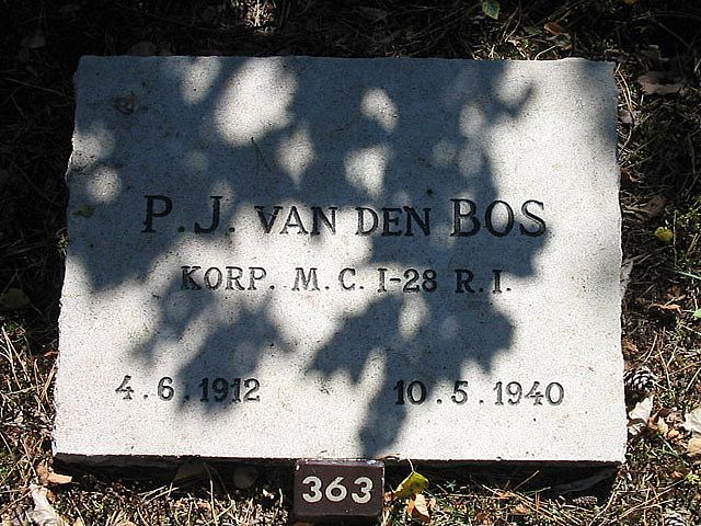 Afbeelding van graf of monument van Petrus Johannes van den Bos