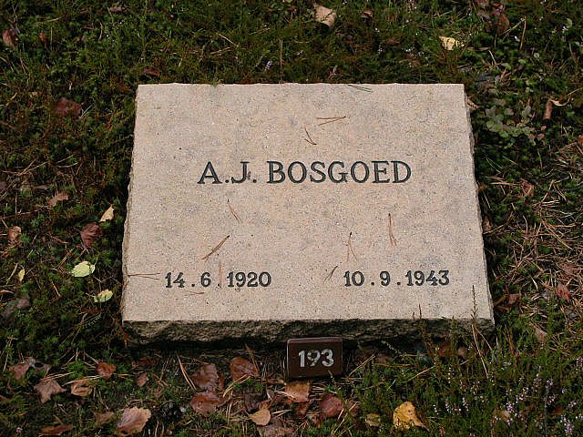 A.J.Bosgoed.JPG