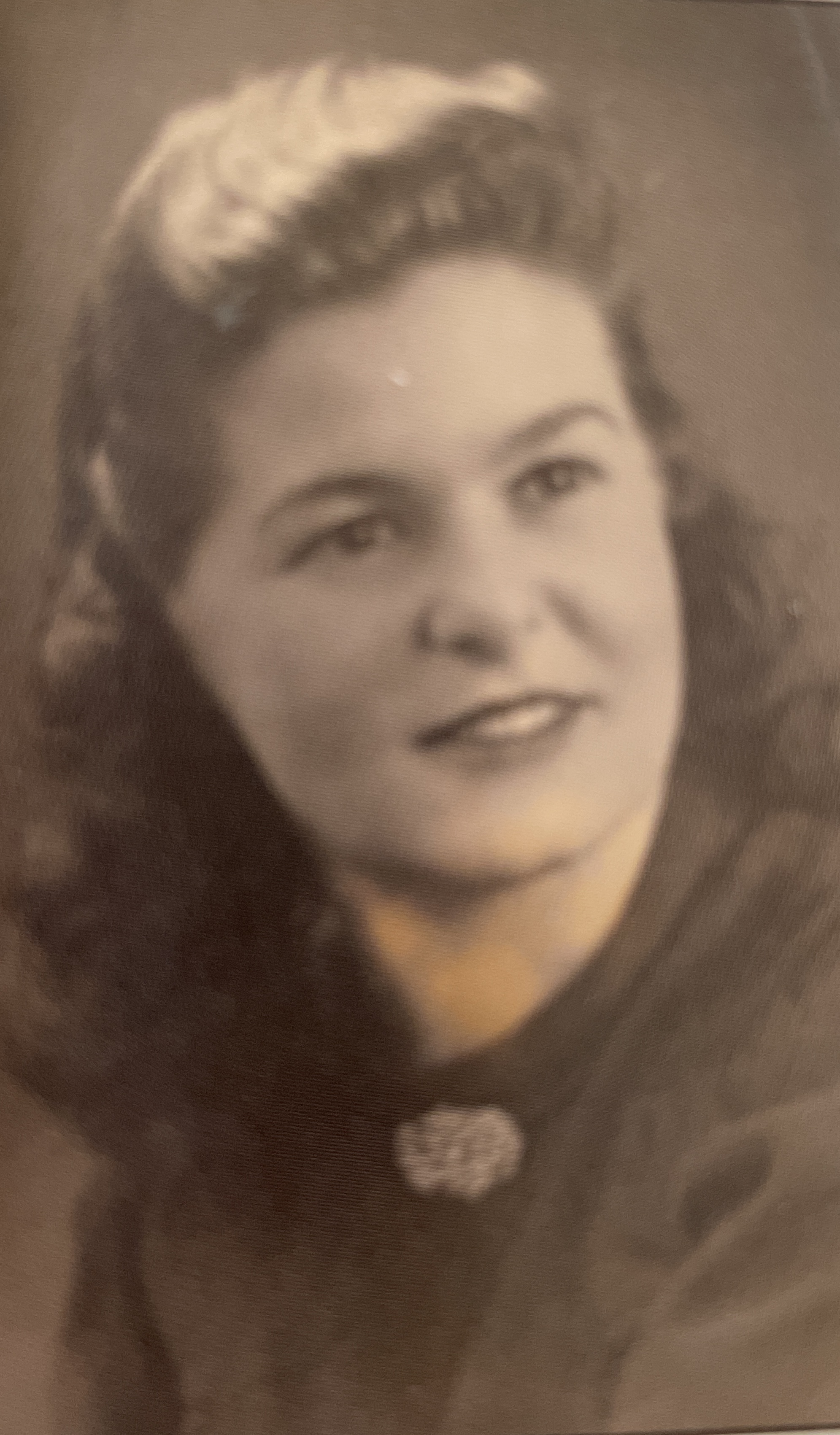 Portret van Petronella Antoinetta van den Broek