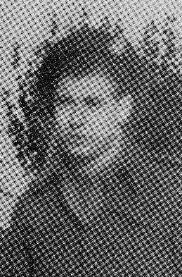 Karel Willem van den Berg