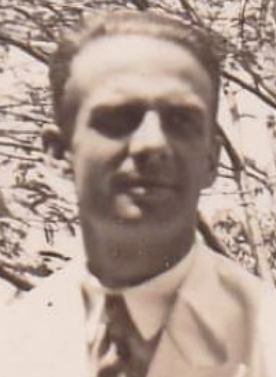 N.F.J. Diemel