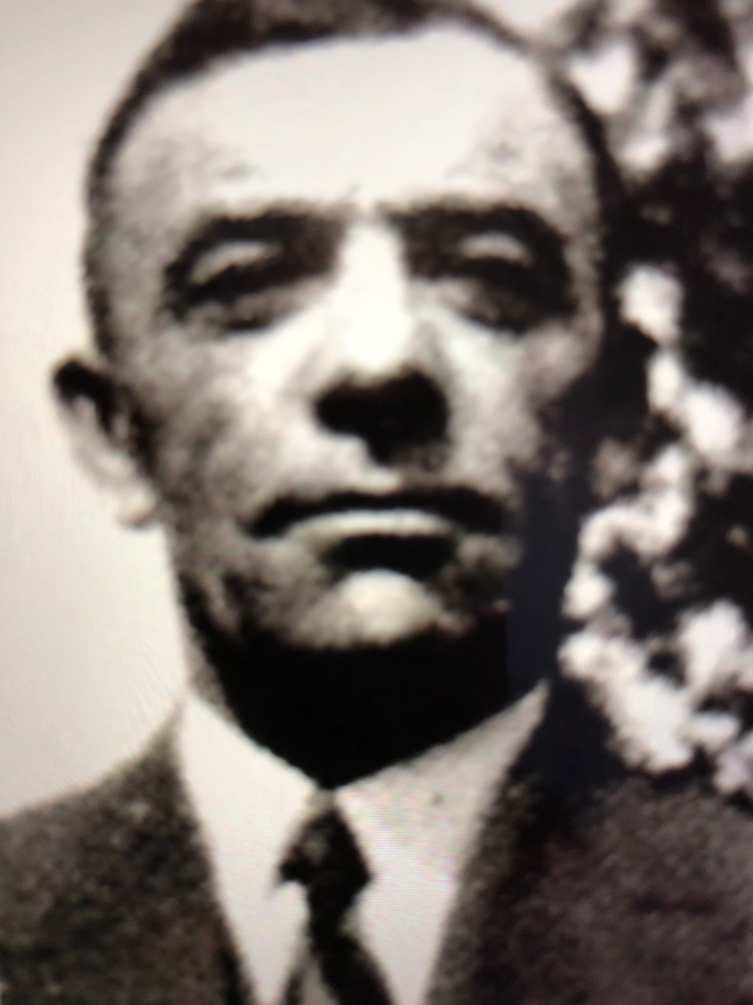 W.G. van de Fliert