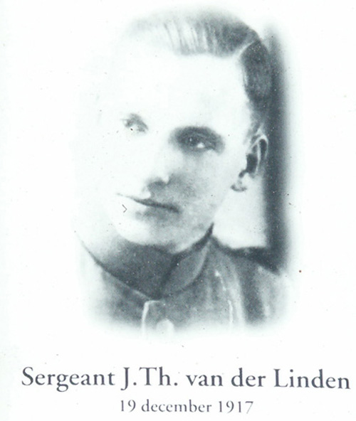 linden