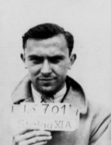 Gerardus Hendricus Meevers Scholte