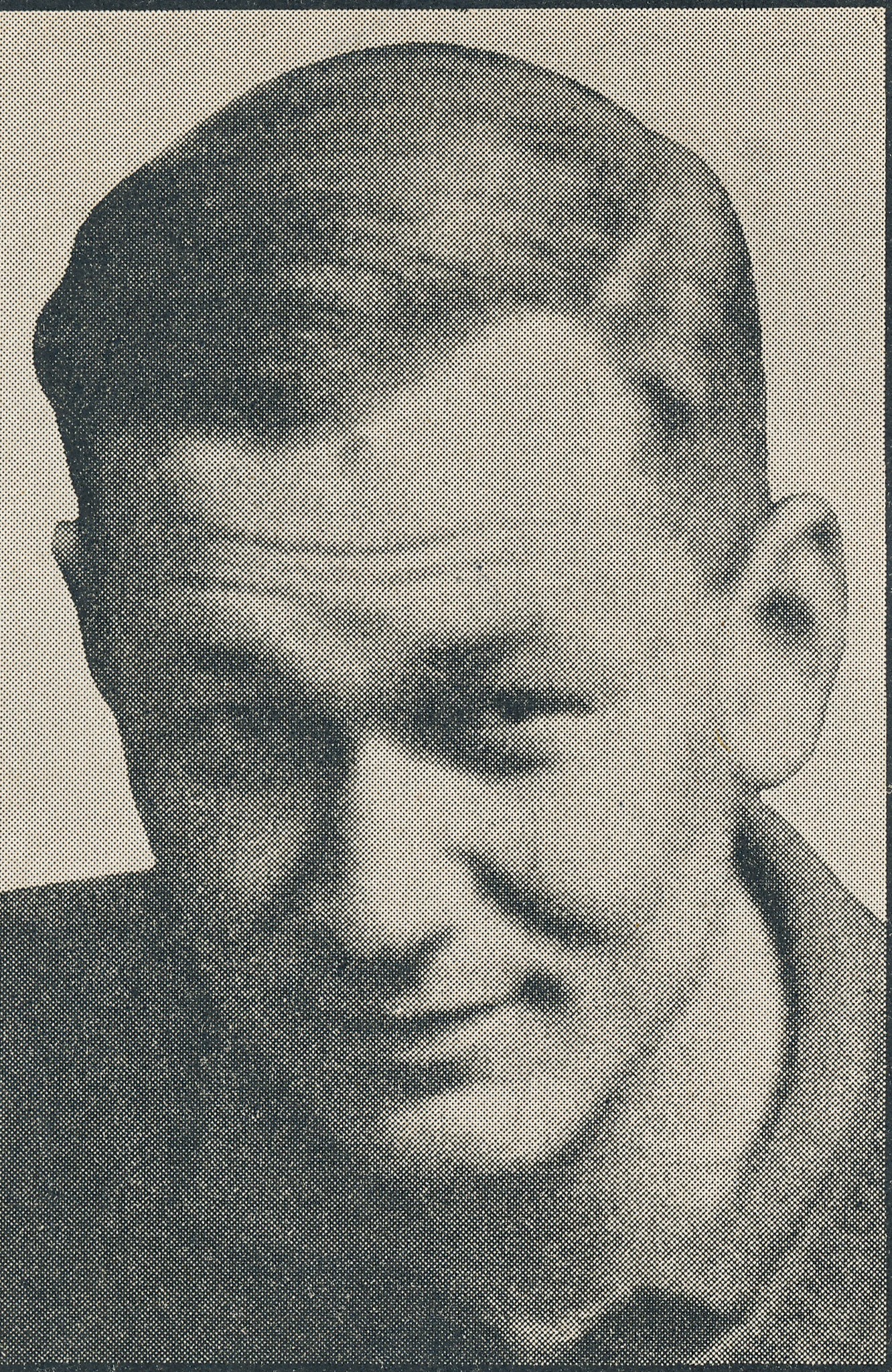 L.C. Sloth Blaauboer