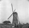 Hontenisse
