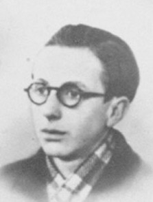 Afbeelding/portret van Hubertus Jacobus Hofman