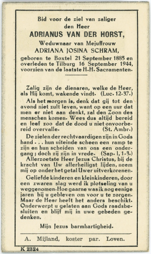 Afbeelding/portret van Adrianus van der Horst