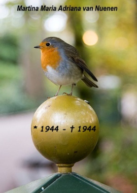 Afbeelding/portret van Martina Maria Adriana