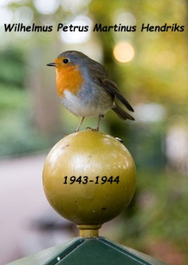 Afbeelding/portret van Wilhelmus Petrus Martinus Hendriks