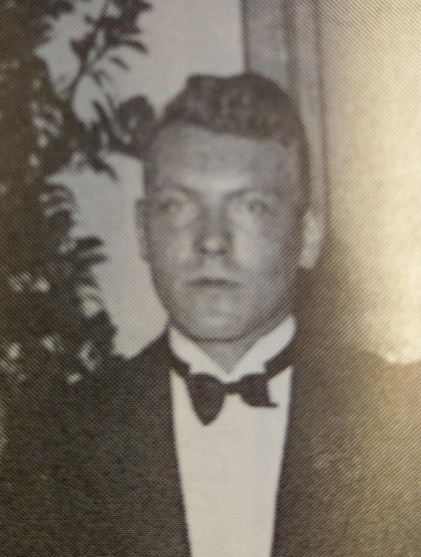 Afbeelding over Arnoldus van Daal