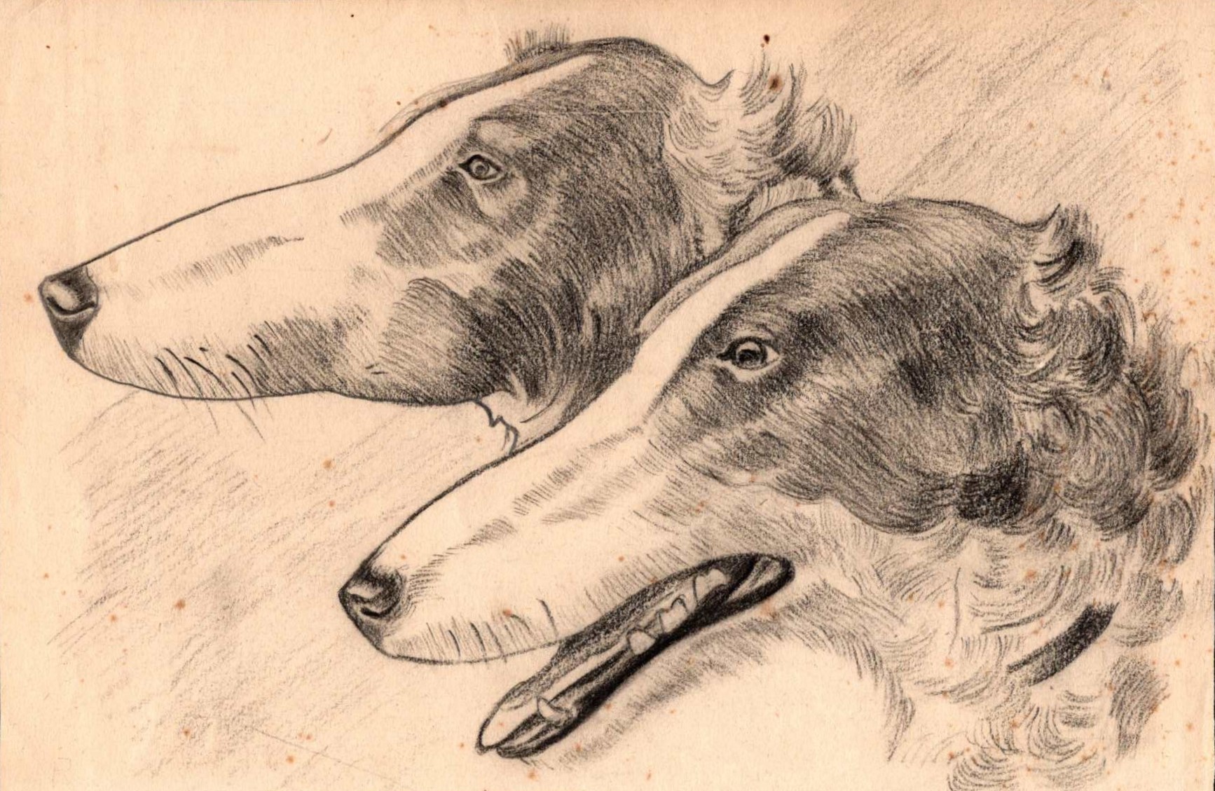 Afbeelding over Ariën Adrianus Gorter