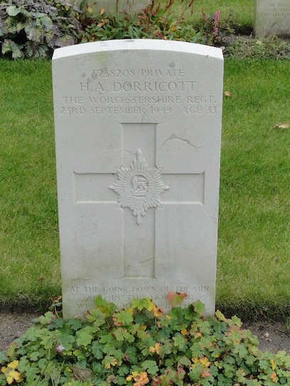 Afbeelding/portret van Dorricott