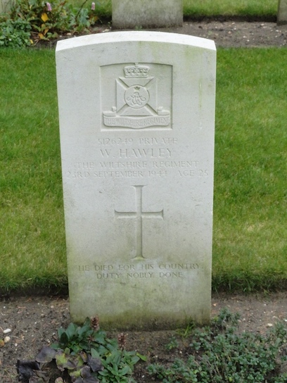 Afbeelding/portret van Hawley