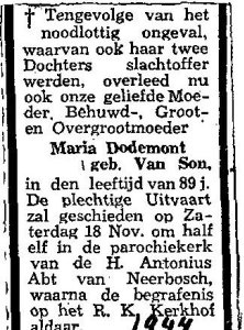 Afbeelding/portret van Dodemont-Van%20son