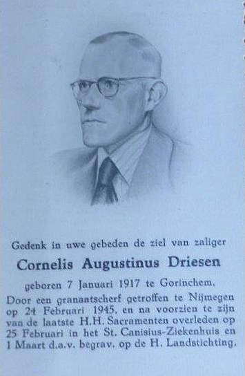 Afbeelding/portret van Driesen