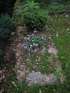 Afbeelding/portret van Janssen