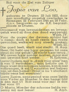 Afbeelding/portret van Loo