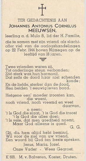 Afbeelding/portret van Meeuwsen