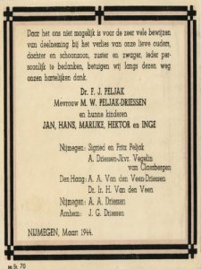 Afbeelding/portret van Peljak