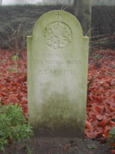 Afbeelding/portret van Treijtel